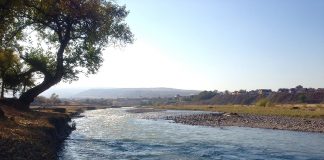 Кумовство и снос башни: что происходит в «Ингушмелиоводхозе»