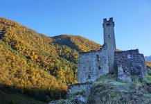 Тейп Цороевых возмутился высказываниями Калиматова о выделенных им миллионах