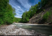 «Очистные в неудовлетворительном состоянии»: в Минприроды рассказали о ситуации со сливом нечистот в Назранку