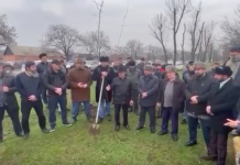 Жители Сунженского района сорвали попытку построить магазин в лесополосе Жители Сунженского района сорвали попытку построить магазин в лесополосе