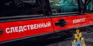 Мать избитой четырехлетней девочки в Ингушетии арестована