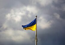 Житель Ингушетии заподозрен в попытке примкнуть к украинским военным Житель Ингушетии заподозрен в попытке примкнуть к украинским военным