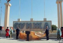 Директор колледжа подала в суд на мэра Сунжи