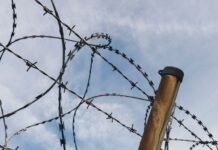 Многодетный отец из Нового Реданта осужден к 4,5 годам колонии по обвинению в хранении гранаты