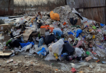 В Ингушетии обнаружили 16 незаконных свалок с вредными отходами