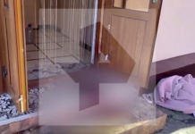 Силовики заявили об убийстве боевика в Сунже