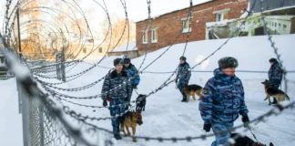 «Унижения и угрозы»: уроженца Ингушетии повторно отправили в ШИЗО пыточной колонии в Мордовии