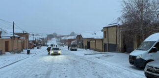 «Крышевание», «черные» риелторы и бизнес в Москве: что известно о задержанных силовиками баталхаджинцах