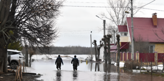 «Сотни домов окажутся под водой»: в Сунже попросили ускорить берегоукрепительные работы из-за боязни новых паводков