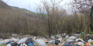 «Настоящий ужас»: в Малгобекском районе пожаловались на стихийную свалку и бездействие властей